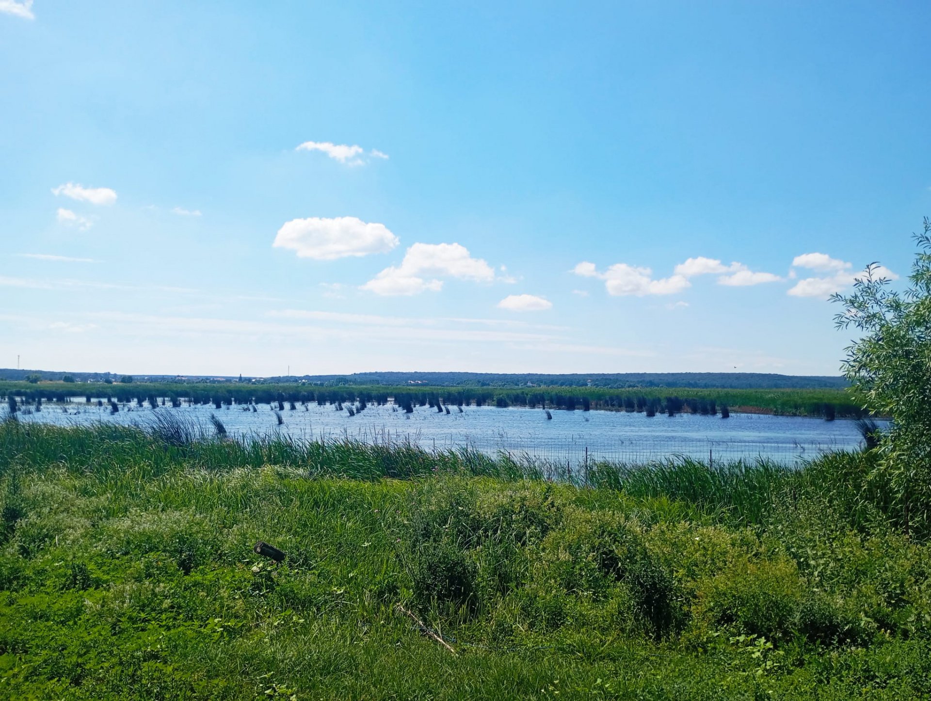 Vand teren intravilan 4000MP cu dechidere la Delta Neajlovului, Comana GR