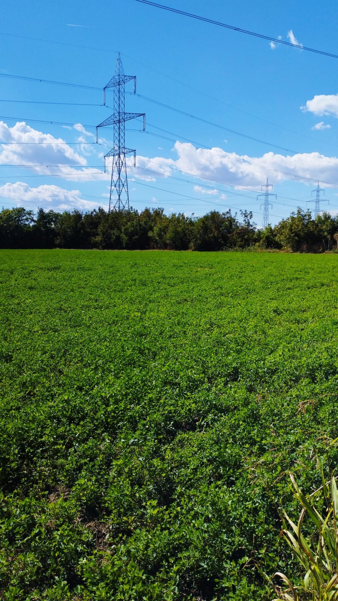 Terenuri intravilane 4550 MP, deschidere la stradă 32 m