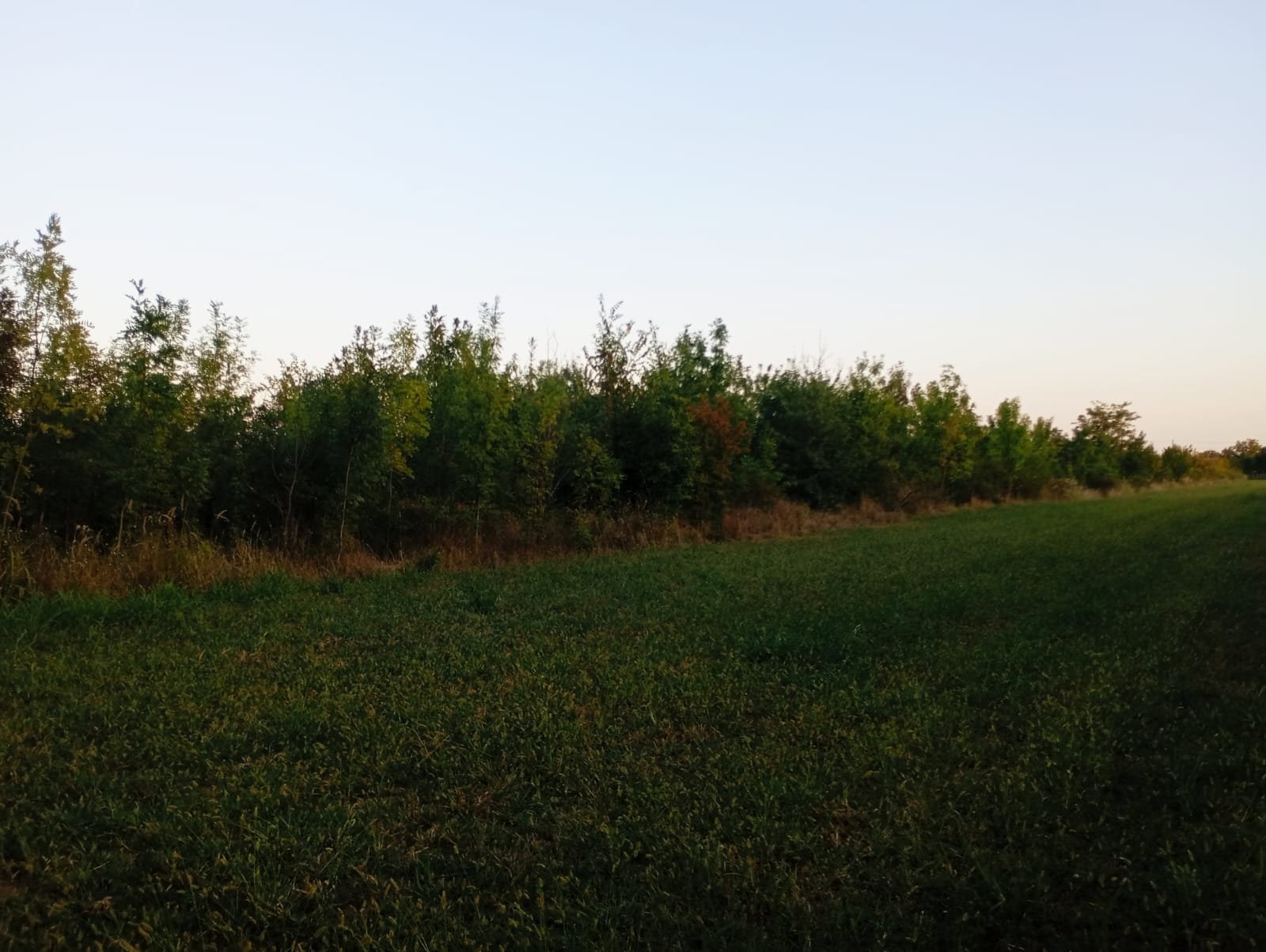 Teren intravilan 4800 mp lângă pădure în Scroviștea